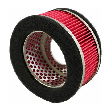 Filtro De Aire Ds125, Ds150 Redondo Motoneta