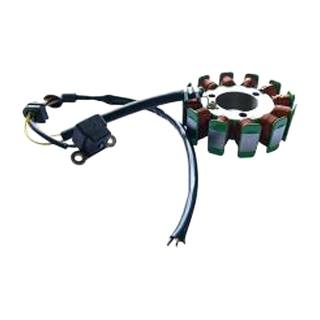 Estator 12 Bobinas Bj Pulsar200 Ns Promoto
