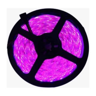 Tira Led 5050 Rosa 5 Mts (Se Vende Por Metro)