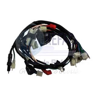 Arnes Completo Dt110 Delivery 16-20, Ft115 16-20