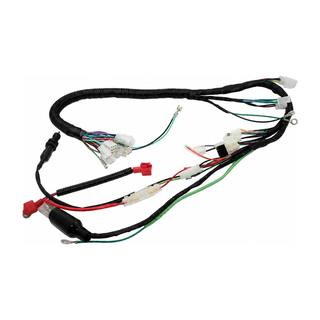 Arnes Completo Forza125 05-12, Ft150 Grafito, Ft125 Clasica 12-14, Ft125 Roja Nueva, Dt150 Clasica, Dt125 Delivery, Dt150 Delivery, Ft150Ts, Ft150 Basica