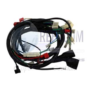 Arnes Completo Ws150 Sport 17-22, It Ws175 Sport 18-20