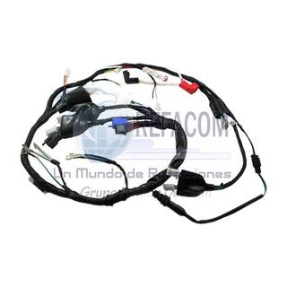 Arnes Completo 150Z