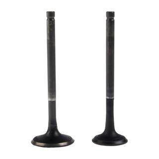 Valvulas De Motor 125Fl, 125Fl Parrilla Larga