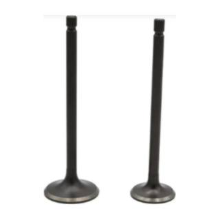 Valvulas De Motor Ft125, Dt125, 125Z, Rc125, Xft125, Ft125Ts Italika