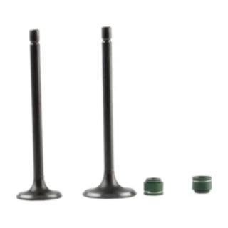 Valvulas De Motor 150Sz, 150Z, Dm150, Dt150, Ex200, Ft180, Ft150, Rc150, Ft180Ts, Ft150Gts, Ft150G, Ft150 Grafito Italika