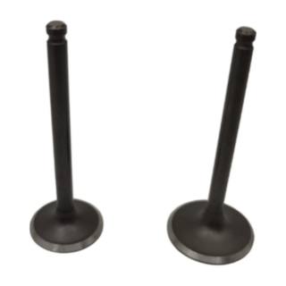Valvulas De Motor Ds150, Gs150, Vitalia150, Ws150, D150, Atv150, Vgo150, D150, X150 Italika
