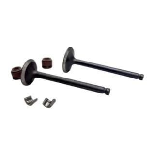 Valvulas De Motor Cs125, Ds125, Xs125, D125, Vgo125, Vitalia125 Italika