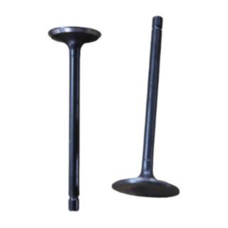 Valvulas De Motor Ft200 Ts, Dm200, Fiera200, Dt200 Sport, Tc200 Italika