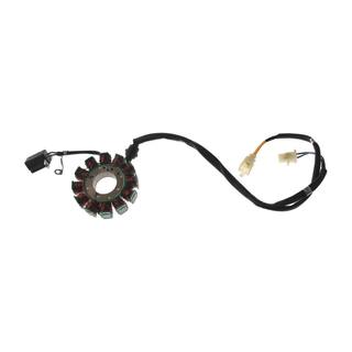 Estator 12 Bobinas 250Z Negra, Veloci Xeverus300, Ex200, Rt200 Corriente Continua