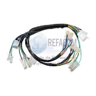 Arnes Completo Secundario Ds150 16-17, Xs150 17, Diablolo125/150