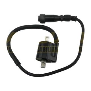 Bobina De Encendido Fz16 12-13 Con Capuchon Recto Compatible Con Ft125, Gl150, Ft150, Dm200, Dm150 Roja, At110, Vn Xpress150, Lithium, Ryder, Tornado, Rocketman, Crossmax