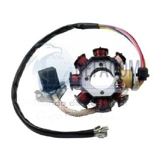 Estator 8 Bobinas Ft125, Ft150, 125Z, 150Z, Rc125, Rc150, Dm150, Dm200, Dm250, Vn Beaver150, Cyclone150, Eclipse150, Xplor150, Ryder150, Xpress150, Lithium150, Shark150, Urban150, Workman150, Kurazai Classic, Vn Thriller200, Thriller250, Sptfire200 Moto Trabajo Matsuma