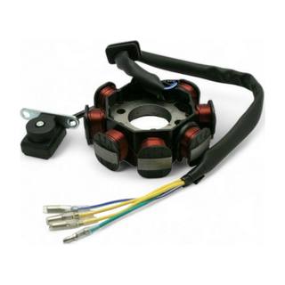 Estator 8 Bobinas Dt110 Delivery, Ft115, 110 Hijoy Corriente Continua