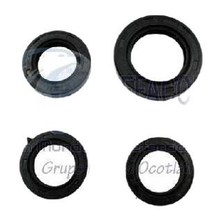 Retenes De Motor Motoneta Cs125/Ds125 (27*40*6) (15*25*5) (16*24*5) (10*20*5)