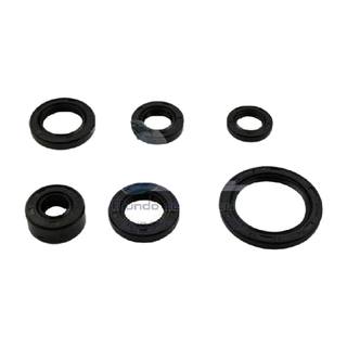 Retenes De Motor At110, Xt110, At110 Sport, At110Rt (30*42*45) (18.9*30*5) (17*29*5) (16*24*10) (13.7*24*5)