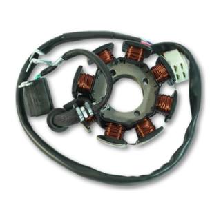 Estator 8 Bobinas Ft180, Dm300, Vn Crossmax200, Crossmax250, Tornado250, Rocketman 250, FT250, Ft250Ts, DT200, Tornado300, Rocketman300, Vortex200, Cyclone210, Falkon200, Thunderstar300Xl, Blackbird250, Vortx200 Corriente Continua