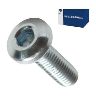 Tornillo Disco De Freno M8*25