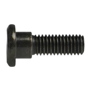 Tornillo Disco De Freno M8*25