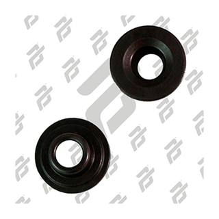 Asiento De Valvulas Ft125, Ft150, 125Z, Dm125, Dm150 10-19, Dt125, Dt150, 150Z (Pza)