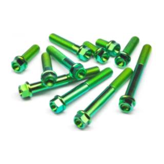 Tornillo Con Cabeza Entrada Allen Verde M8*55 (20Pzas/Bolsa)