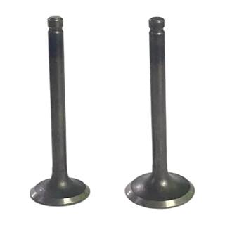 Valvulas De Motor Cs125, Ds125, Xs125, D125, Vgo125, Vitalia125 Sayto