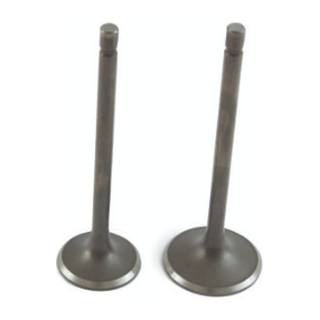 Valvulas De Motor Ft200 Ts, Dm200, Fiera200, Dt200 Sport, Tc200 Sayto