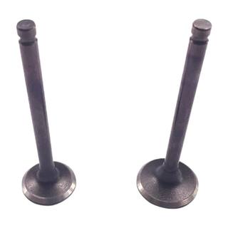 Valvulas De Motor At110, Ft110, Xt110, Ar110, At110Nr, At110Rt, Carabela Hunter Cub125 Semiautomatica Sayto