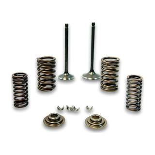 Valvulas De Motor Vn Nitrox300, Nitrox300 T3, Gts300, Crossmax300 Rally Con Resortes, Asiento de Valvulas y Seguro Sayto