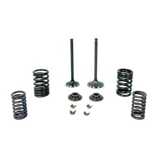 Valvulas De Motor Vn Tornado300, Rocketman300, Thunderstar300 Con Resortes, Asiento de Valvulas y Seguro Sayto