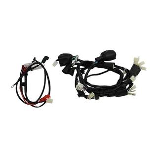 Arnes Completo Honda Cbf125