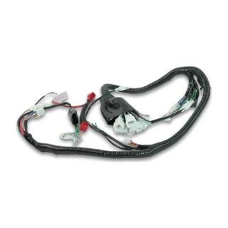 Arnes Completo Vn Cyclone210
