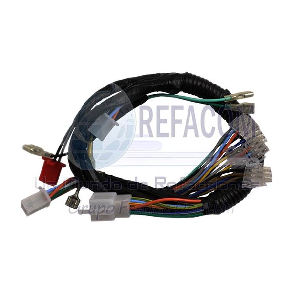 Arnes Completo Secundario Gs150 10-13, Gs150 Con Led, Gts175 10-14