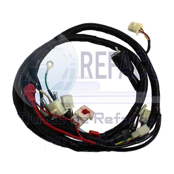 Arnes Completo Gs150 10-13, Gs150 Con led, Gts175 10-14